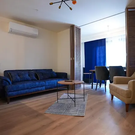 Apartment Brand Fully Furnished 1 1 Near Vadi Mall *